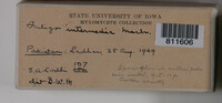 Image Associated With the Occurence